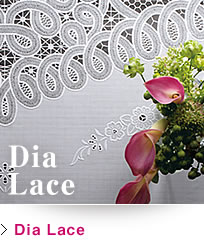 Dia Lace