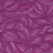 写真：C-003 Purple